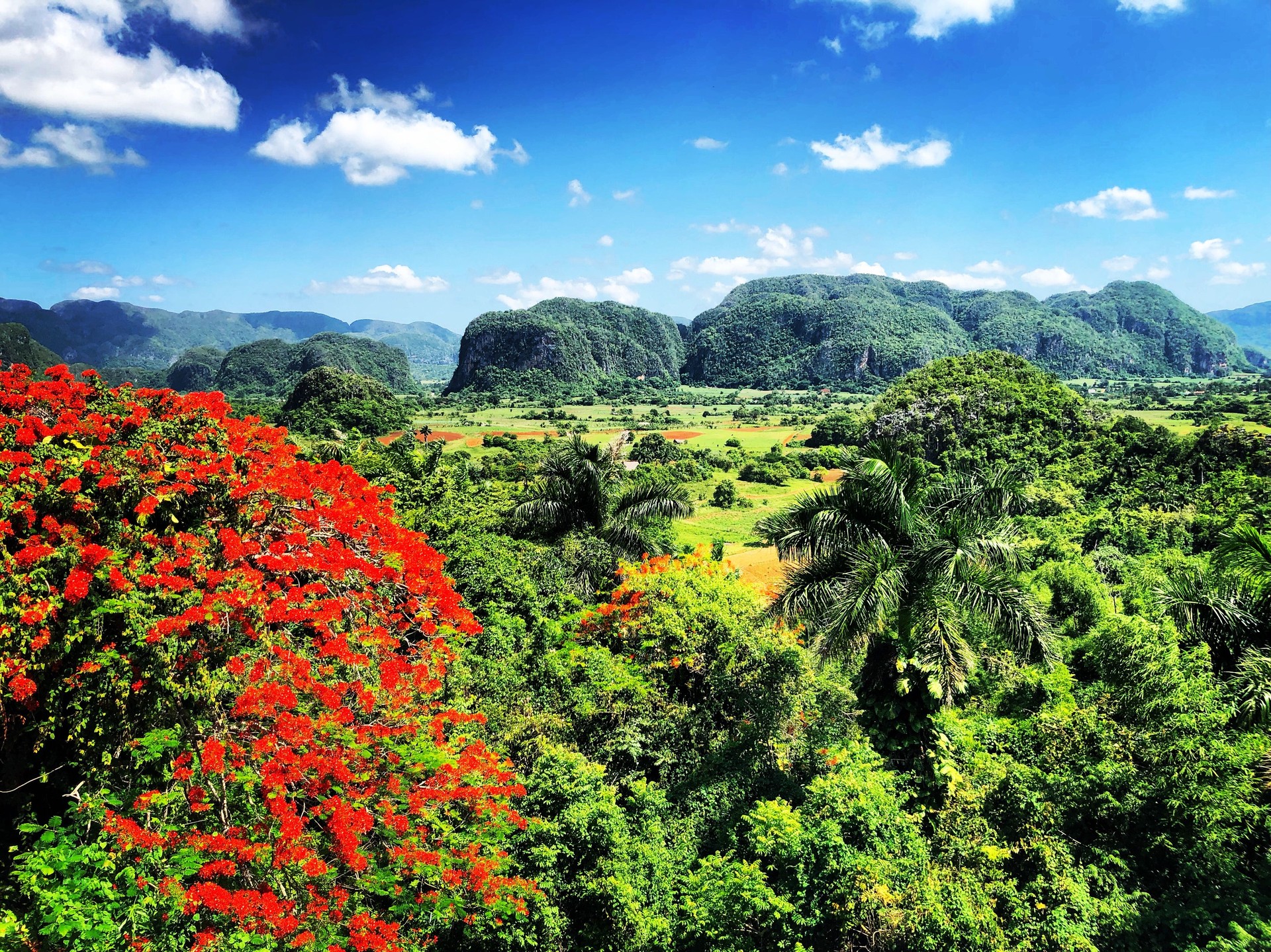 Vinales valley