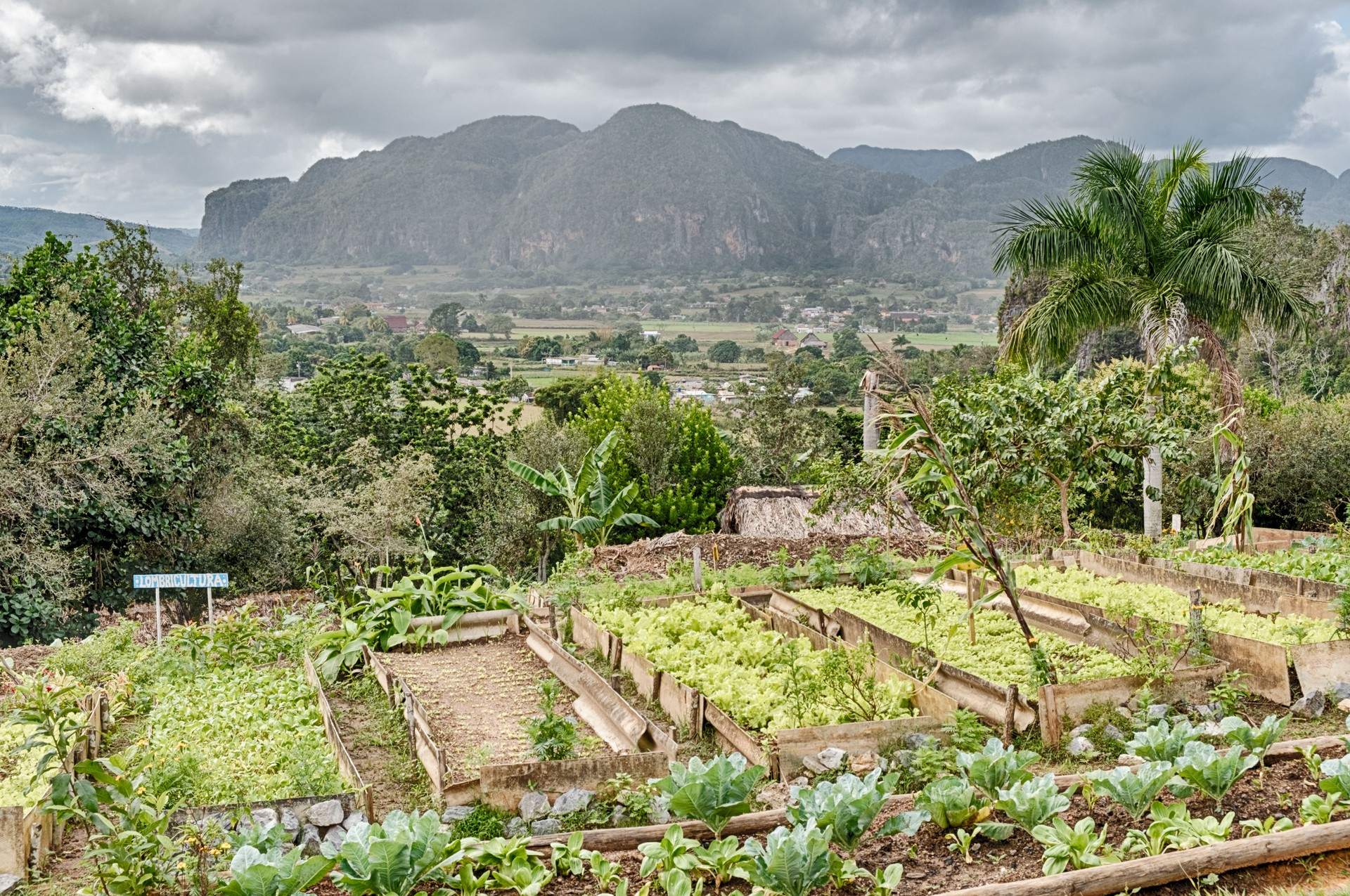A Farm In The Vinales Valley